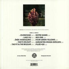 Disc de vinil Apifera - Overstand (LP) - 1
