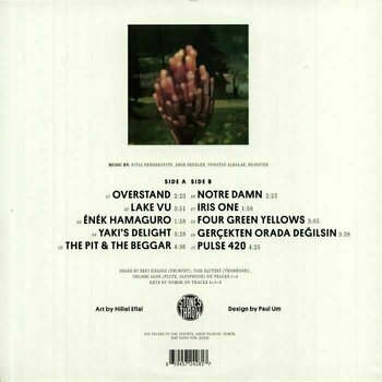 Δίσκος LP Apifera - Overstand (LP) - 2