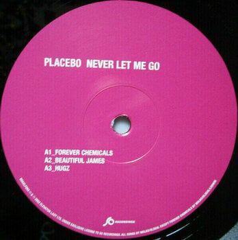 Vinyl Record Placebo - Never Let Me Go (2 LP) - 2