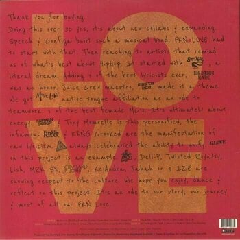 Vinyl Record Arrested Development - For The Fkn Love (2 LP) - 2