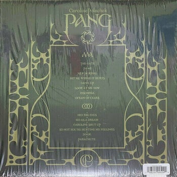 Vinyl Record Caroline Polachek - Pang (Translucent Vinyl) (LP) - 2