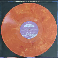 Vinüülplaat Beach Bunny Emotional Creature (Orange & Yellow Vinyl) (LP) - 3
