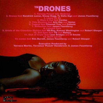 Disco in vinile Terrace Martin - Drones (LP) - 3
