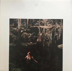 Disc de vinil Florence and the Machine - How Big, How Blue, How Beautiful (2 LP) - 7