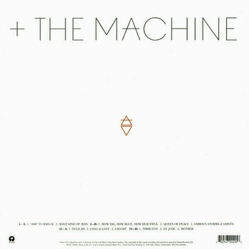 LP plošča Florence and the Machine - How Big, How Blue, How Beautiful (2 LP) - 14
