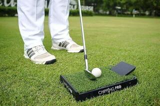 Trainingshilfe JS Int Pro Schlagmatte - 1
