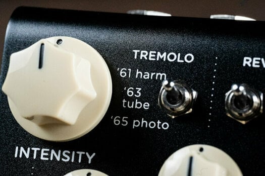 Tremolo/Vibra Strymon Flint V2 Tremolo and Reverb - 6