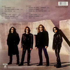 Schallplatte Megadeth - The World Needs A Hero (LP) - 5