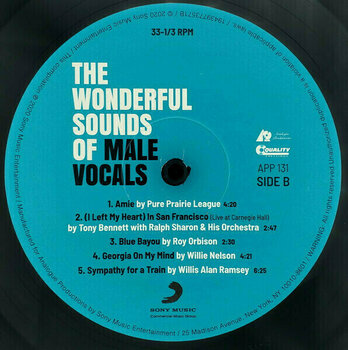 Δίσκος LP Various Artists - The Wonderful Sounds Of Male Vocals (200g) (45 RPM) - 3
