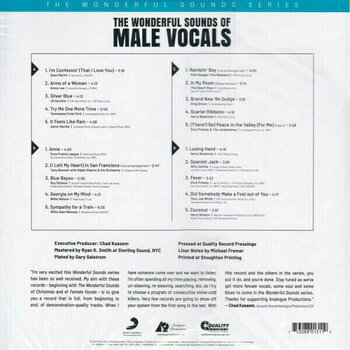 Δίσκος LP Various Artists - The Wonderful Sounds Of Male Vocals (200g) (45 RPM) - 6