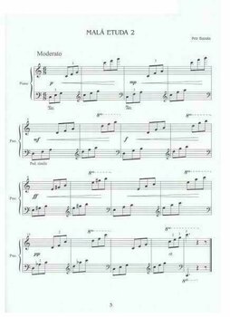 Noten für Tasteninstrumente Petr Bazala Skladby pro klavír II Noten - 2