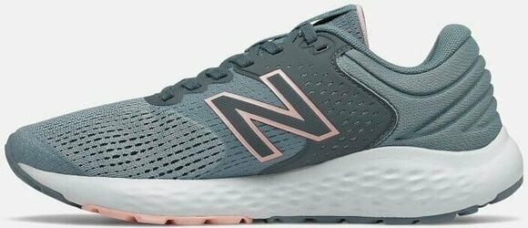 Straßenlaufschuhe
 New Balance Womens Shoes Fresh Foam 520v7 Dark Grey/Silver 37,5 Straßenlaufschuhe - 2