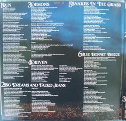 Vinüülplaat Dolly Parton Run Rose Run (Limited Edition) (LP) - 3