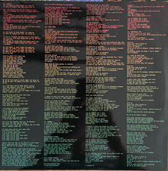 Disc de vinil Emeli Sandé - Let's Say For Instance (2 LP) - 5