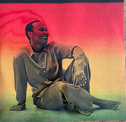 Disc de vinil Emeli Sandé - Let's Say For Instance (2 LP) - 6