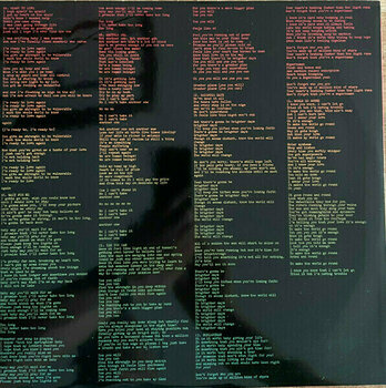 Δίσκος LP Emeli Sandé - Let's Say For Instance (Limited Edition) (2 LP) - 7