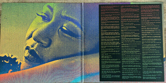 Disque vinyle Emeli Sandé - Let's Say For Instance (Limited Edition) (2 LP) - 8