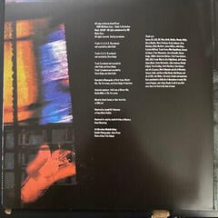 Vinyl Record Soul Asylum - The Silver Lining Black (2 LP) - 1