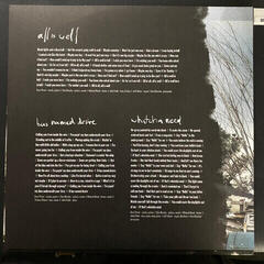 Vinyl Record Soul Asylum - The Silver Lining Black (2 LP) - 3