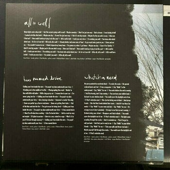 Disque vinyle Soul Asylum - The Silver Lining Black (2 LP) - 4