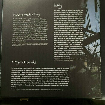 Disque vinyle Soul Asylum - The Silver Lining Black (2 LP) - 5