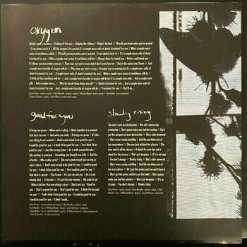 Vinyylilevy Soul Asylum - The Silver Lining Black (2 LP) - 6