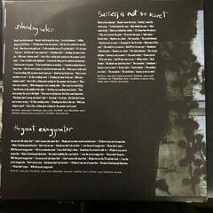 Vinyl Record Soul Asylum - The Silver Lining Black (2 LP) - 6