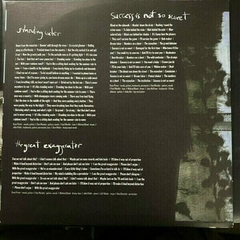 Płyta winylowa Soul Asylum - The Silver Lining Black (2 LP) - 7