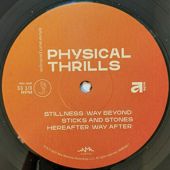 Disco de vinil Silversun Pickups - Physical Thrills (2 LP) - 2