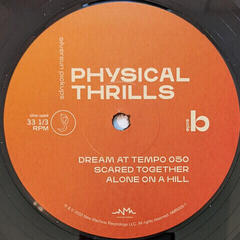 Vinylplade Silversun Pickups - Physical Thrills (2 LP) - 2