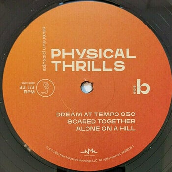 Disco de vinil Silversun Pickups - Physical Thrills (2 LP) - 3