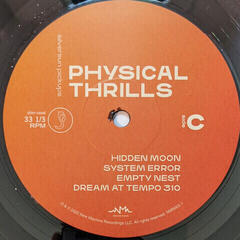 Vinylplade Silversun Pickups - Physical Thrills (2 LP) - 3