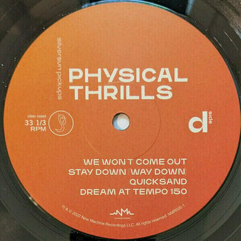 Disque vinyle Silversun Pickups - Physical Thrills (2 LP) - 5