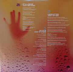 Vinylplade Silversun Pickups - Physical Thrills (2 LP) - 5