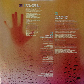 Schallplatte Silversun Pickups - Physical Thrills (2 LP) - 6