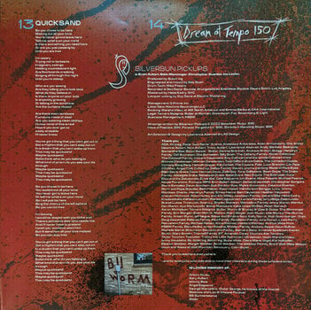 Δίσκος LP Silversun Pickups - Physical Thrills (2 LP) - 7