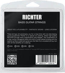 Bass guitar strings Richter Ion Coated Electric Bass 4 Strings - 045-105 Bass guitar strings - 1