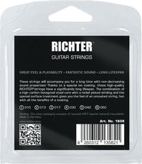 Struny do gitary elektrycznej Richter Ion Coated Electric Guitar Strings - 010-060 Struny do gitary elektrycznej - 1