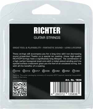 Cordes pour guitares électriques Richter Ion Coated Electric Guitar Strings 7 - 010-060 - 2