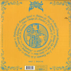 Schallplatte Mall Grab - What I Breathe (2 LP) - 1