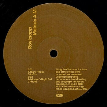 Vinyl Record Royksopp - Melody Am (2 LP) - 4