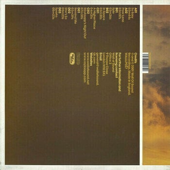 Disco de vinil Royksopp - Melody Am (2 LP) - 6