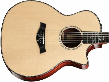 Electro-acoustic guitar Taylor Guitars 914ce Grand Auditorium Acoustic Electric with Cutaway - 2