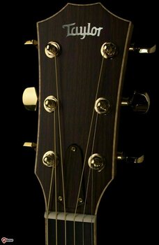 Chitarra Semiacustica Taylor Guitars 816ce Grand Symphony Acoustic Electric with Cutaway - 2