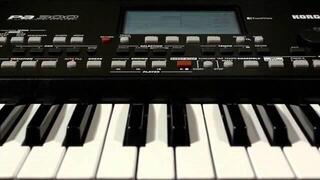 Professional Keyboard Korg PA300 Professional Keyboard - 5