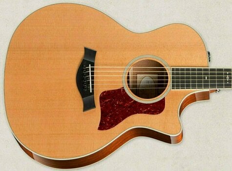 Electro-acoustic guitar Taylor Guitars 514ce Grand Auditorium - 3