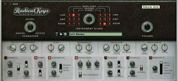 Tonstudio-Software VST-Instrument Reason Studios Radical Keys (Digitales Produkt) - 2
