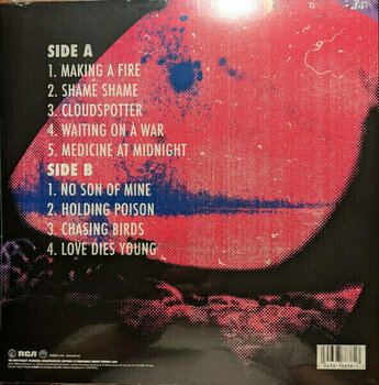 Disque vinyle Foo Fighters - Medicine At Midnight (Blue Coloured Vinyl) (LP) - 4