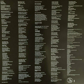 Schallplatte Third Eye Blind - Third Eye Blind (Gold Coloured) (2 LP) - 9