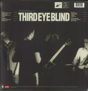 LP Third Eye Blind - Third Eye Blind (Gold Coloured) (2 LP) - 10